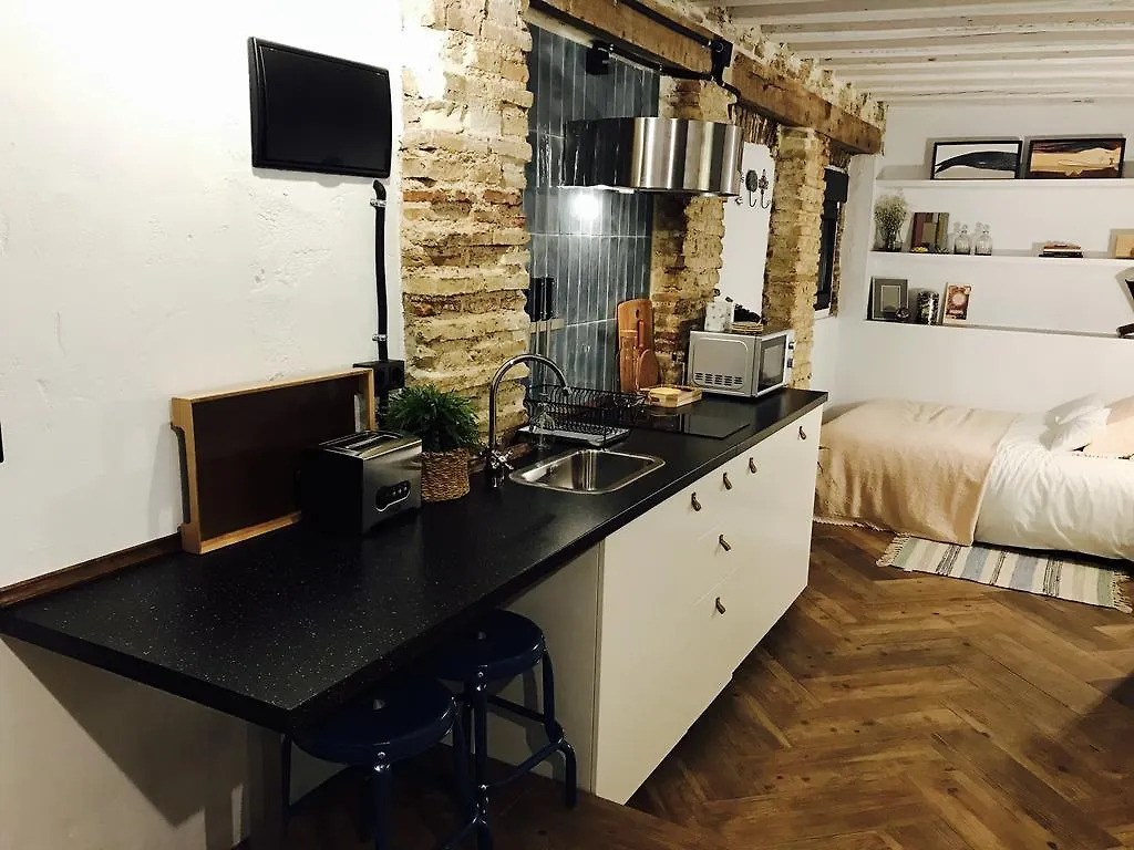 Atico Falla Apartment Cadiz